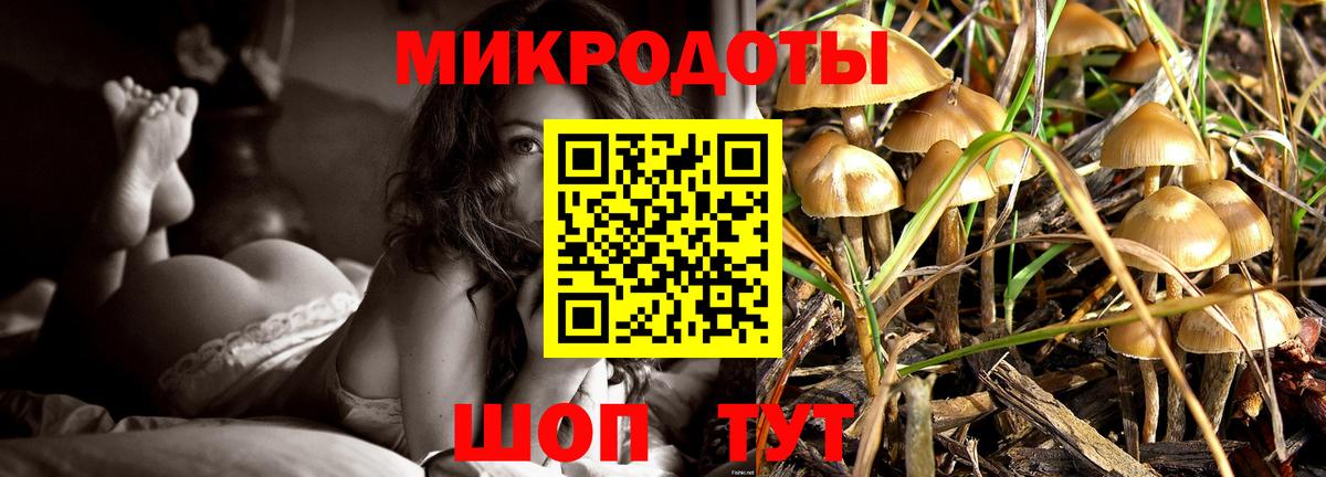 Вышний Волочёк  магазин  наркотиков  Псилоцибиновые грибы Magic Shrooms  Вход с VPN  Галлюциногенные грибы Cubensis 