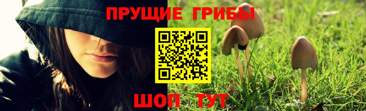 Галлюциногенные грибы мицелий Вышний Волочёк